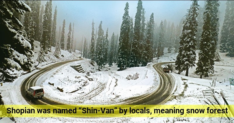shopian-shinvan_1 &n