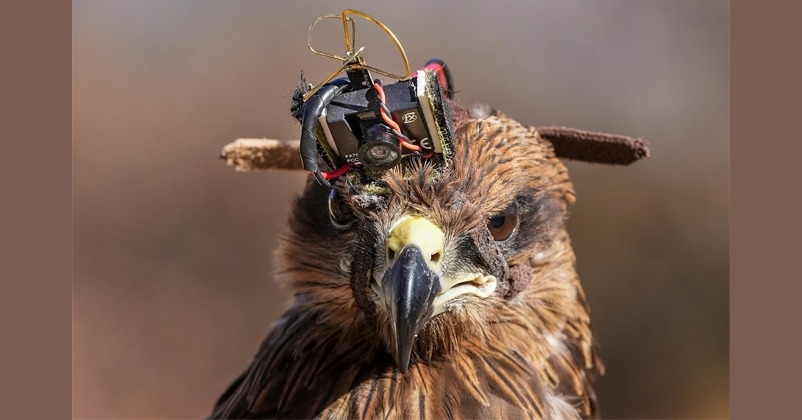 Indian Army kite 'Arjun' Cheel Drone  