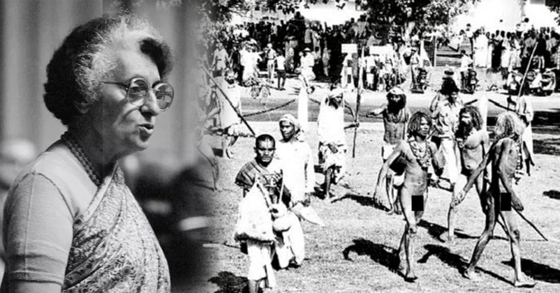 1966 anti-cow slaughter agitation