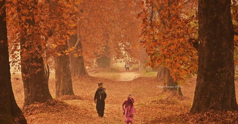 Jammu Kashmir in autum session