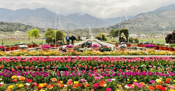 पर्यटकों के लिए खुला एशिया का सबसे बड़ा ट्यूलिप गार्डन ; 16 लाख फूलों से महक उठेगी घाटी
